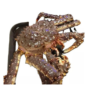 Fabricant professionnel : crabes frais en gros à prix avantageux - Product Image 3