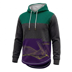 Hoodie personnalisé en molleton de qualité supérieure avec ourlet allongé, fabrication OEM/ODM mondiale - Product Image 1