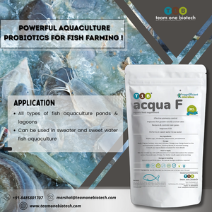 Improved Water Filtration Probiotic for Fish Biofloc to Boost Fish Health - Product Image 5
