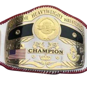 NOUVELLE Ceinture de championnat de lutte poids lourd junior USA, trophée personnalisé de haute qualité pour collectionneurs - Product Image 5