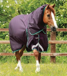 Horse Cooler Rug Customized Equestrian Summer Sheet Breathable Horse <b>Blanket</b> for Training Transport and Stable Use - Product Image 3