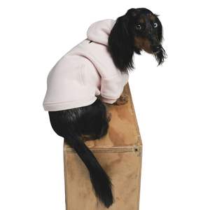 Sudadera Clásica de Invierno para Cachorros, de Dos Patas, 100% Algodón, Ligera y Ecológica, Venta al Por Mayor del Fabricante - Product Image 2