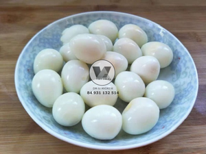 HIGH QUALITY Eco Friendly 15oz Tinned Peeled Quail <b>Eggs</b> Canned Quail <b>Egg</b> in Brine Ready to Eat for Hotpot Ramen Soup Appetizer - Product Image 6