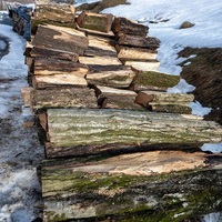 Bois de chauffage de qualité supérieure séché au four : chêne/frêne/hêtre/hamamélis/aulne/bois de bouleau/pin/épicéa