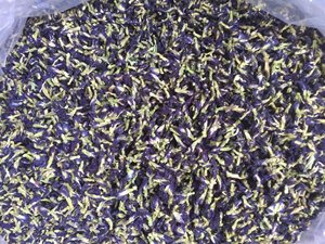 Flor de Guisante Mariposa Seca de Calidad de Exportación del Fabricante, Flor de Guisante Mariposa Seca a Granel de Vietnam para Procesamiento de Ingredientes de Té - Product Image 3