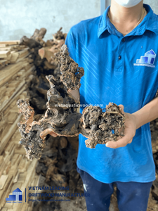 Décoration d'aquarium en bois flotté naturel irrégulier et acier inoxydable, écologique et durable, fabriquée au Vietnam - Product Image 2