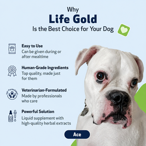 Suplementos Líquidos Antioxidantes OEM para Cachorros y Gatos con Vitaminas y Minerales para el Apoyo Inmunológico y Mezcla Omega - Sin Granos - Product Image 5