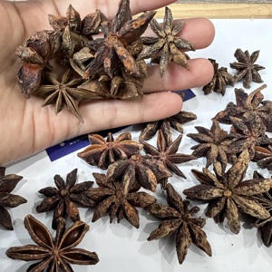 Anís estrellado vietnamita premium, entero, seco, sin tallo, de alto aroma, especia natural, a granel, venta al por mayor, grado alimenticio, exportación directa/ ANNA DO - Product Image 6