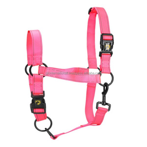Halter de caballo de nailon extra cómodo de primera calidad en tres colores vibrantes Halter de Carreras de Caballos de nailon hecho a mano personalizado y accesorios - Product Image 1