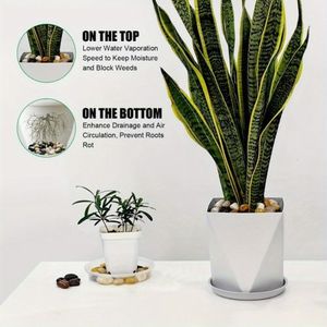 Sassi Decorativi da Giardino Lucidati da 38 libbre, Grandi, da 1,3 Pollici, per Paesaggistica Esterna, Vialetti, Piante, Vasi e Fioriere - Product Image 4