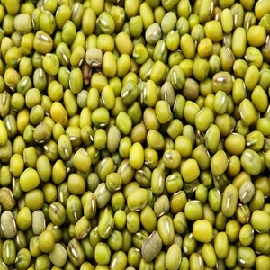 High Quality Wholesale Green Mung Vigna <b>Beans</b> Dried Style with Bulk Packaging Factory Price - Product Image 1