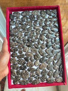 Vente en gros d'agates Turritella, pierres précieuses ovales en forme de poire, lisses et polies, cabochons d'agates Turritella, idéales pour la fabrication de bijoux - Product Image 3