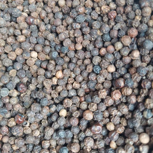 Pimienta Negra de Vietnam, Nueva Cosecha 2026, Cruda, Seca, Calidad Premium, Mejor Precio, Lista para Entrega - Product Image 2