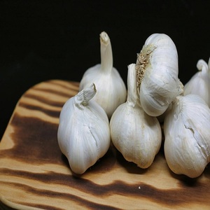 Ajo Blanco Puro 100% Orgánico, Pelado, Fresco y Dulce, de Alta Calidad, Precio al por Mayor, para Uso Alimentario - Product Image 3
