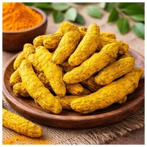 Dedos de Cúrcuma Salem Cuidadosamente Seleccionados, Alta en Curcumina, Raíz de Cúrcuma Entera Natural, Proveedor de Exportación - Product Image 1