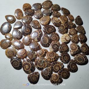 Top qualité prix de gros lot en vrac en vente bijoux en vrac pierres précieuses Cabochon pierre ammonite pour la fabrication de bijoux - Product Image 5