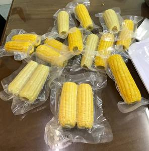 Maíz Dulce Hervido Congelado IQF Blanco, No Glutinoso, Cultivo Común, 15cm, Empaque a Granel, Calidad de Exportación - Ms. Tarina - Product Image 6