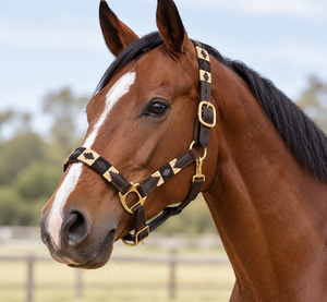 Proveedor de Cabestros de Cuero para Caballos con Logotipo Personalizado, Cabestros de Cuero Genuino para Empresas Ecuestres al por Mayor - Product Image 5