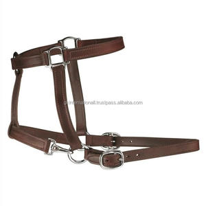 Licou de cheval en cuir durable avec bandeau nasal et cou rembourrés en cuir souple avec matériel en laiton Équipement personnalisé OEM et ODM - Product Image 3