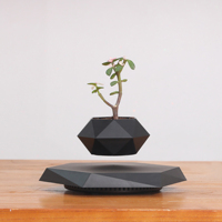 Pot de Fleur Magnétique Flottant Lévitant Intelligent Personnalisé de Haute Qualité pour Décoration d'Intérieur Moderne de Jardin et Succulentes