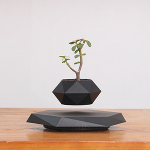 Chậu cây cảnh, hoa, cây mọng nước hiện đại thông minh, nổi lơ lửng bằng nam châm, chất lượng cao, cá nhân hóa, trang trí nội thất - Product Image 2