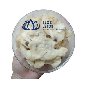 BEST SELLING Sustainable Soft Dried Soursop Slices Vacuum Pack <b>Chewy</b> Fruit Snack for Dessert Direct Factory - Product Image 1