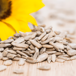 Graines de tournesol naturelles brutes en gros, emballage en vrac, graines de tournesol séchées pour la torréfaction, alimentation des oiseaux et usage alimentaire à prix avantageux - Product Image 6
