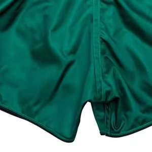 Pantalones Cortos de Muay Thai Verdes para Hombre, Impresión por Sublimación, Secado Rápido, Corte Regular, Ropa de Artes Marciales Mixtas, Talla Adulto - Product Image 6