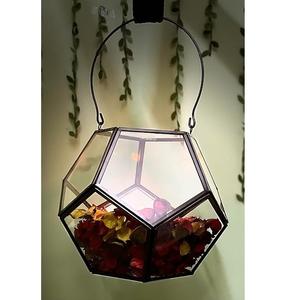 Terrarium en verre hexagonal pour plantes d'intérieur, vase de table, décoration artistique, récipient transparent pour succulentes et plantes aériennes - Product Image 1