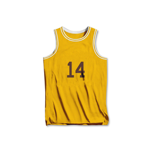 Maillots et shorts de basketball d'été Bsci imprimés, grandes tailles, respirants, anti-UV, tissu anti-humidité, tendance - Product Image 5