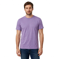 T-shirt décontracté pour homme à manches courtes, col rond, tricoté, 100% coton, coupe classique, couleur unie, écologique, anti-rides, respirant BD