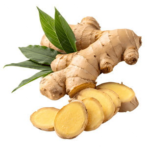 Prix direct usine, Vente chaude, Gingembre frais biologique de qualité supérieure en vrac, Légume frais de qualité exceptionnelle en gros - Product Image 1