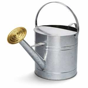 Arrosoir de jardin en métal de qualité supérieure, pot à eau décoratif pour plantes d'intérieur, balcon et pots de fleurs - Product Image 1