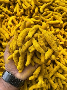 Cúrcuma Salem Premium con Alto Contenido de Curcumina, Dedos de Cúrcuma Naturales Pulidos, Raíz de Cúrcuma Entera de Grado de Exportación, 2 Años de Vida Útil, APSS - Product Image 3