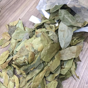 ใบกระเจี๊ยบแห้งจากเวียดนาม ใบธรรมชาติสำหรับชงชาสมุนไพร เครื่องดื่ม และใช้ในอุตสาหกรรม - Product Image 1
