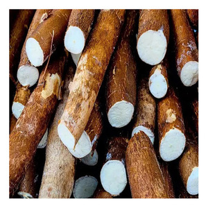 Native Tapioca Starch/Cassava Starch for food, Family Starch - Product Image 6