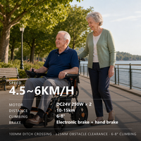 Scooters électriques pliables en acier au carbone avec moteur 250W*2, batterie au plomb-acide, certifiés CE, pour seniors, vitesse 4,5-6 km/h