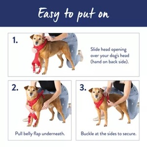 Blue Nylon Breathable <b>Dog</b> <b>Harness</b> Fur Lace Decoration Adjustable Buckle Closure <b>for</b> Large Simple Style Solid Color Pet Gear - Product Image 2