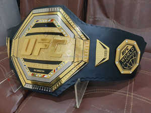 Fabricante Profesional de Entrenadores de Gimnasio de Artes Marciales Mixtas, Boxeo y Lucha Libre, Ajustables, Resistentes, de Acero Inoxidable y Ligeros - Product Image 4