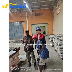 Maquinaria Automática para Molinos de Harina de Trigo, Molinos de Harina de 62-82 Toneladas por Día, Línea Completa de Proceso de Molienda de Harina de Trigo en Argentina - Product Image 5