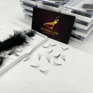 Extensions de cils Volume 10D, bouquets préfaits à tige courte, 0,07 mm, noir mat, en fibre synthétique PBT coréenne, fabriqués à la main, plateaux de cils, marque privée, haute qualité - Product Image 4