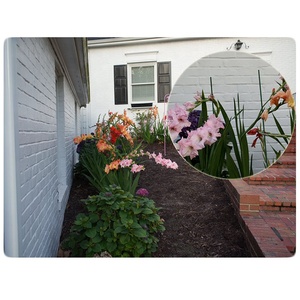 Garden Stakes 48 Inch Solid Glass Fiber Plant Support <b>Rod</b> - Product Image 5