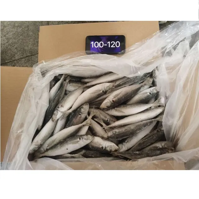 Top Sale DCP Dicalcium Phosphate Feed Grade in China Animal Max Bag Fish White Dog Chicken FROZEN BIG EYE SCAD FOR FISH FEED