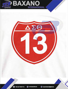 เสื้อยืด Delta Sigma Theta Sorority แบบมีลายพิมพ์ สีขาวตัดกับปกสีแดง ผ้าฝ้าย 100% ระบายอากาศได้ดี สไตล์สตรีท DST Sorority Tee - Product Image 5