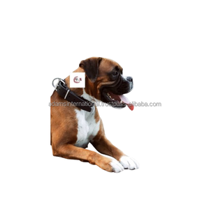 Collar y Correa de Cuero de Excelente Calidad para Perro, Color Dorado, Tamaño y Logotipo Personalizables, Disponible en Todos los Colores - Product Image 1