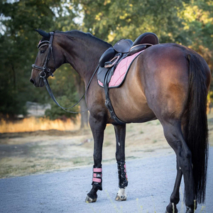 Juego de sudaderos de seda ligeros y duraderos para caballo, personalizados, nuevos, precio mayorista 2026 - Product Image 6