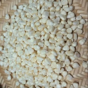 เมล็ดข้าวโพดแว็กซ์ออร์แกนิกคุณภาพเยี่ยม ราคาดี เหมาะสำหรับการทำอาหารเพื่อสุขภาพ ธัญพืช อุตสาหกรรมขนมขบเคี้ยว และการส่งออกจำนวนมาก - Product Image 1