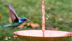 Arrivée chaude moderne cuivre pluie chaîne bassin de haute qualité élégant ornement de jardin pour hôtel Villa Resort - Product Image 5