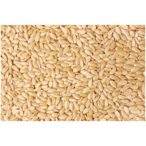 Graines de sésame entièrement transformées, graines de sésame blanches naturelles à vendre - Product Image 6