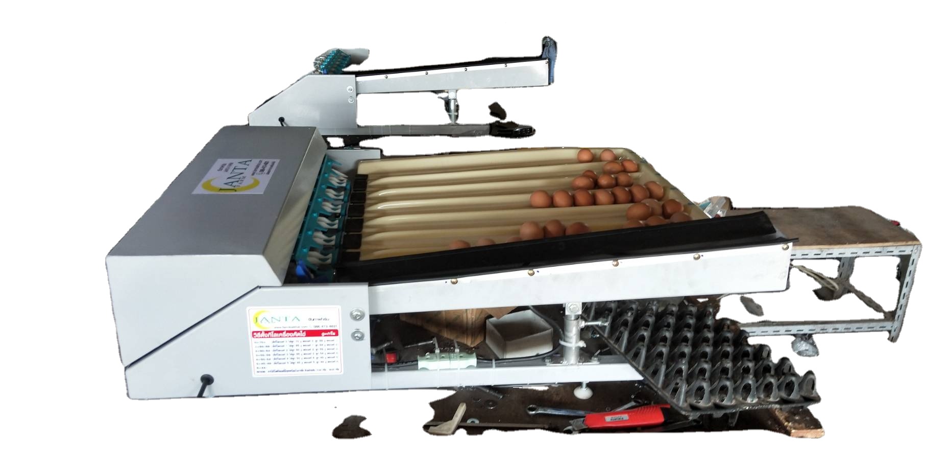 automatic egg weighing machine
